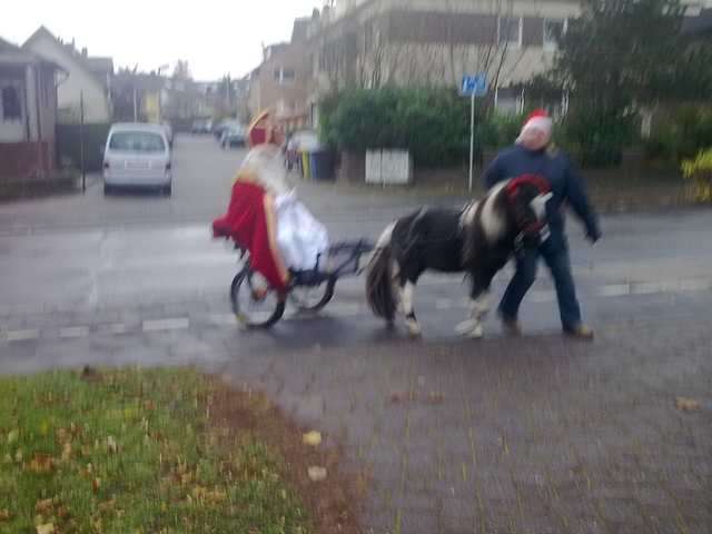 Last-Minute-Weihnachtsgeschenk: REITEN